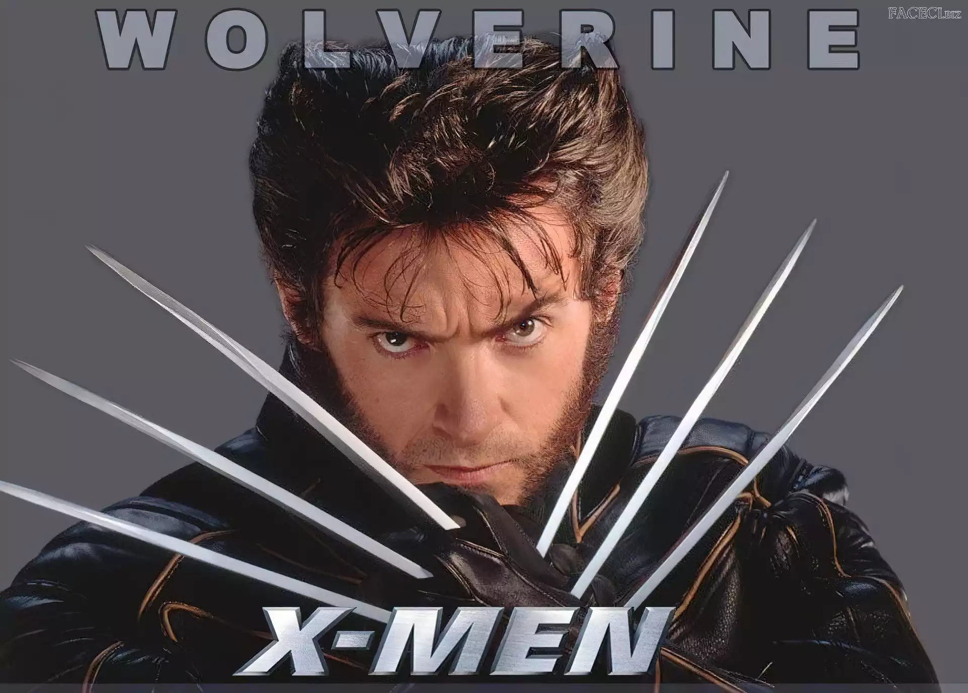 grzywka, Hugh Jackman, x-men